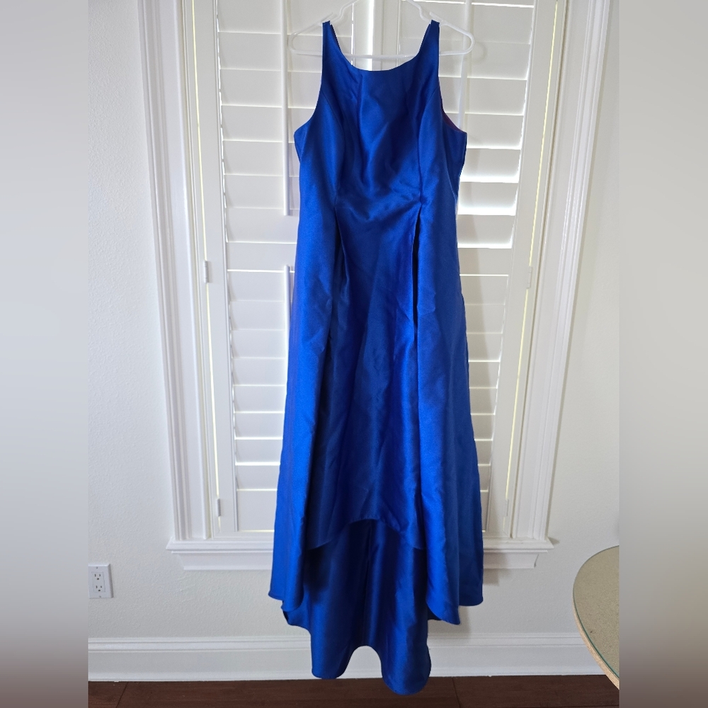 Elegant Blue Sleeveless Gown